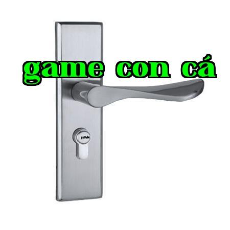 Tay nắm khóa cửa phòng bằng thép không gỉ 304 nguyên chất, BA-5919SN (thép không gỉ)