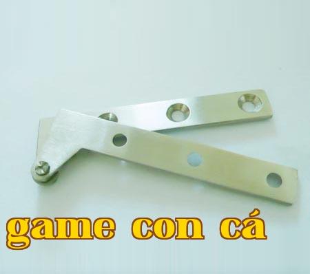 Chicken Mouth Hinge