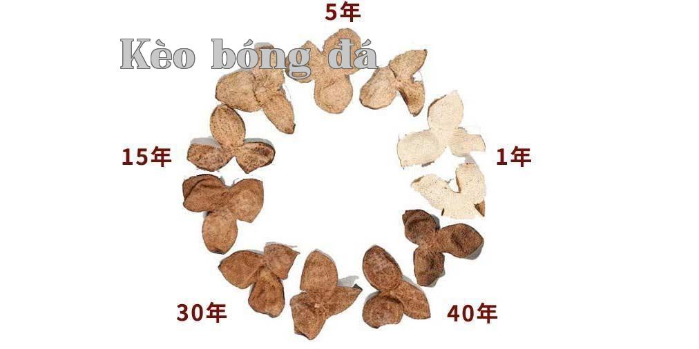 Hoa Diệp Niu chia sẻ sự khác biệt giữa các năm của táo đỏ