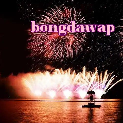 Giấy phép thương hiệu pháo hoa