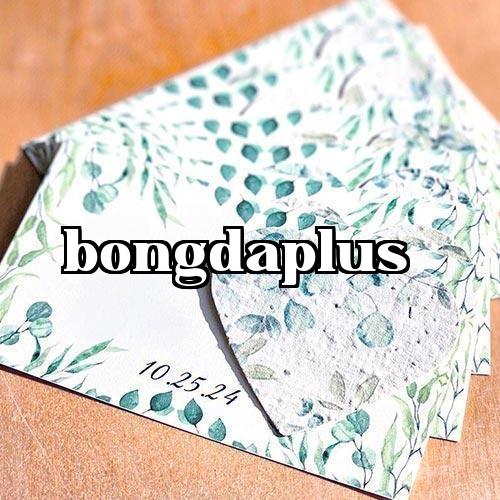 Giấy postcard | Giấy phép thương hiệu văn phòng phẩm