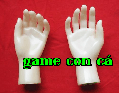 Việc sở hữu tay mẫu có những công dụng gì, bạn biết bao nhiêu